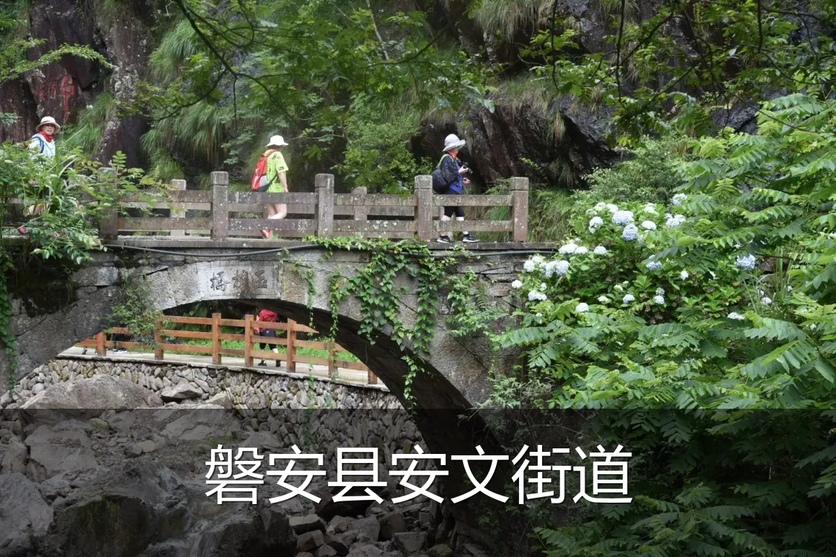 磐安县安文街道